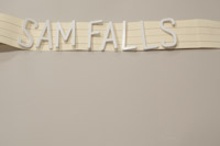 Sam Falls