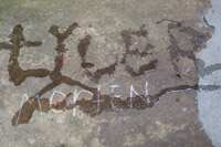 Tyler Morten